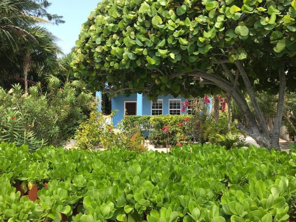 Sandy'S Secret Caye Caulker Ngoại thất bức ảnh