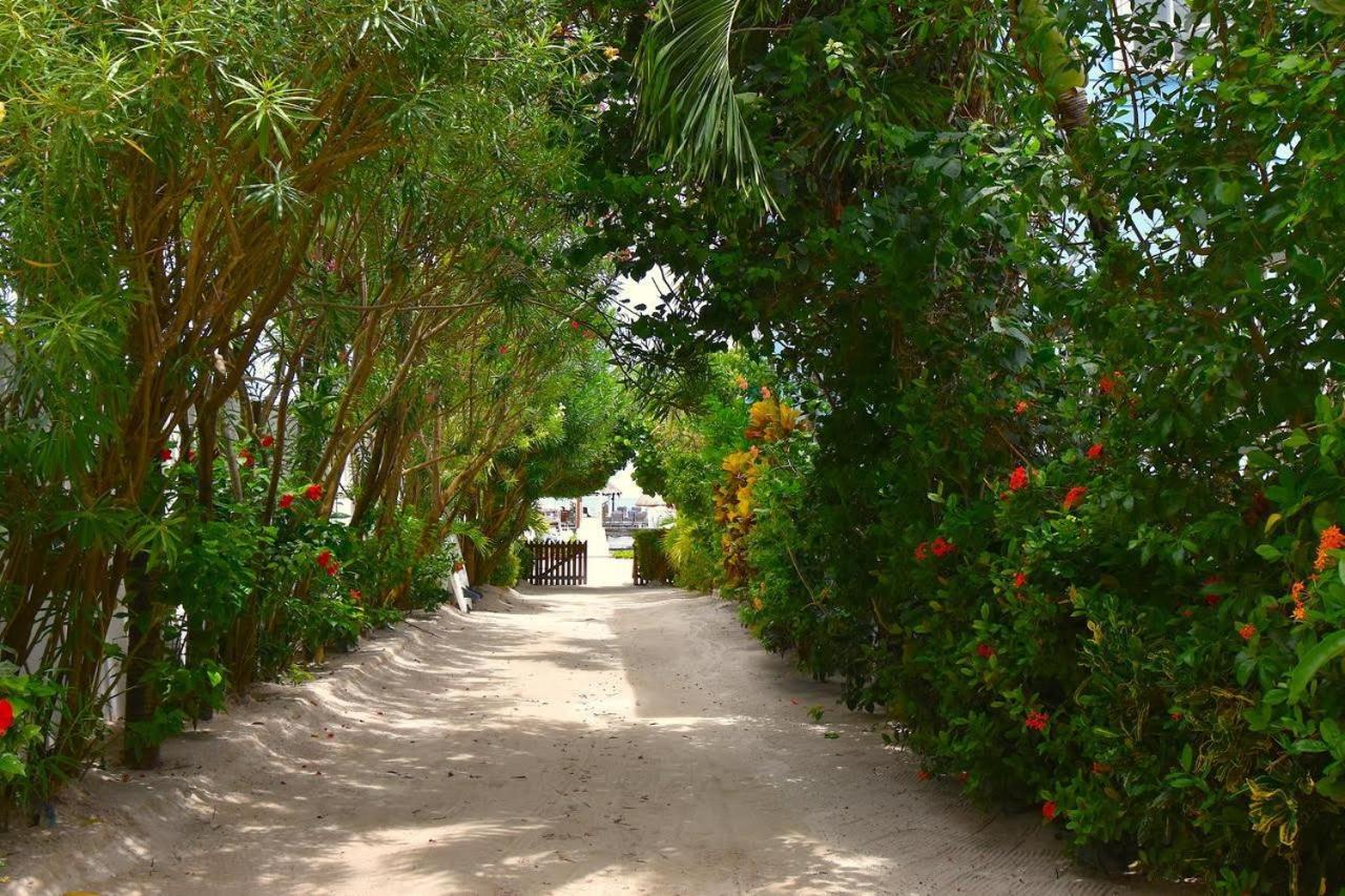 Sandy'S Secret Caye Caulker Ngoại thất bức ảnh