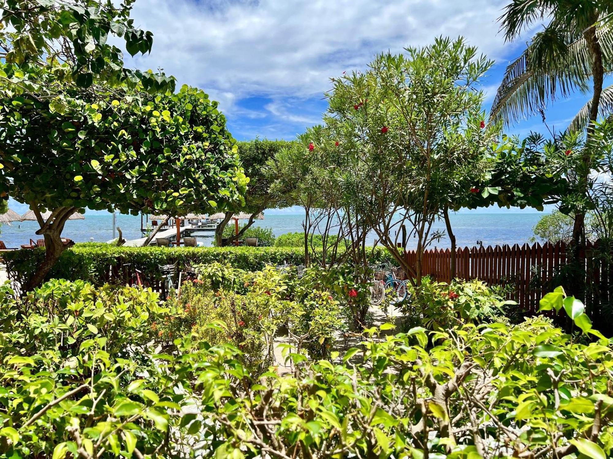 Sandy'S Secret Caye Caulker Ngoại thất bức ảnh